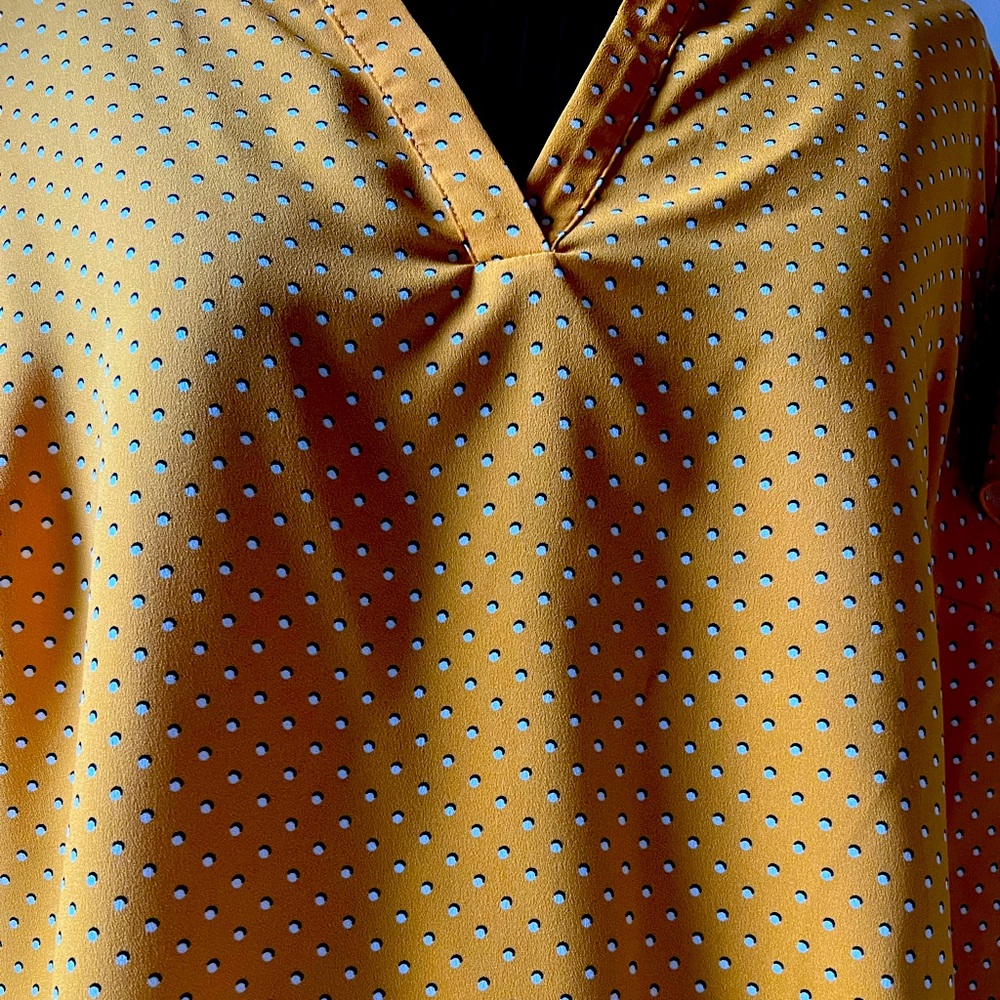 Hilary Radley Dress Blouse